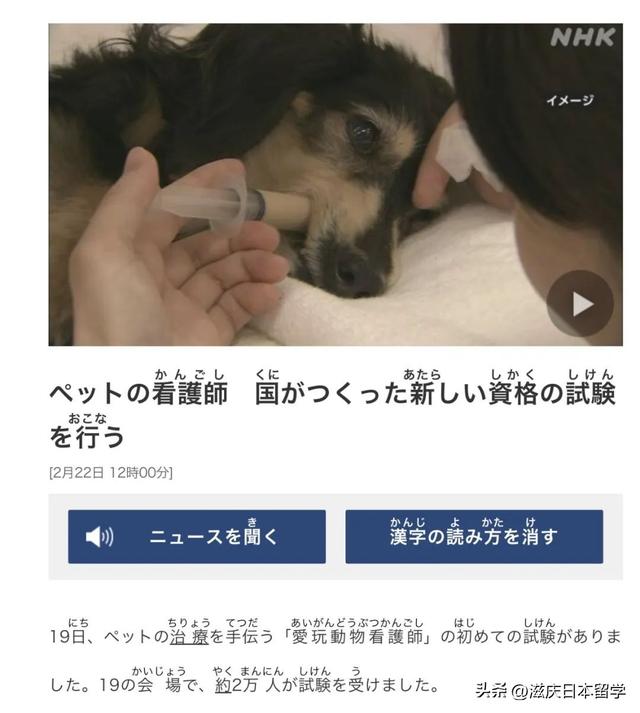 日语人必备的4个宝藏网站！可以免费学日语哦！